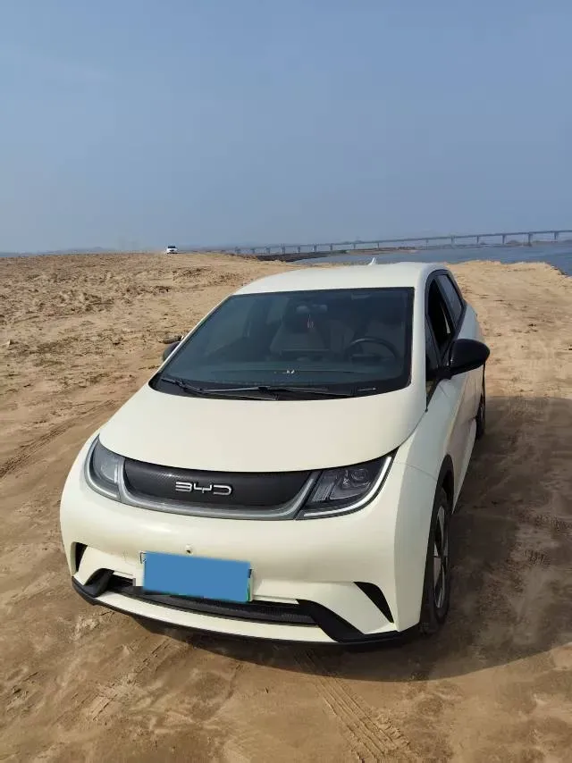 2023 BYD Dolphin BEV 44.928KWH,autocango,china used car exporter,china ev exporter,chinese used car exporter,chinese used ev exporter