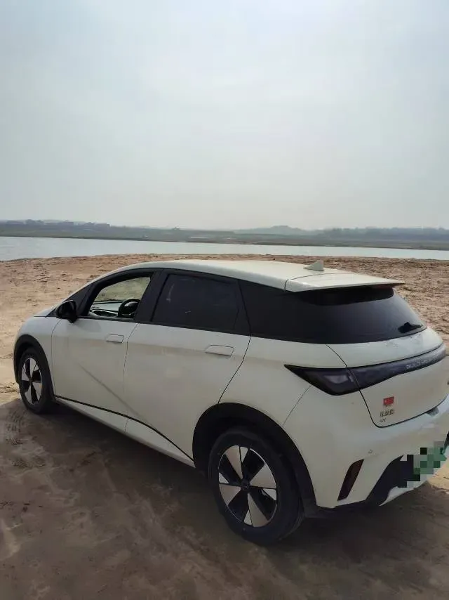 2023 BYD Dolphin BEV 44.928KWH,autocango,china used car exporter,china ev exporter,chinese used car exporter,chinese used ev exporter