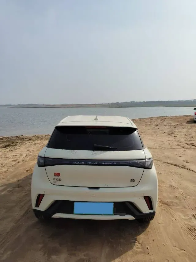 2023 BYD Dolphin BEV 44.928KWH,autocango,china used car exporter,china ev exporter,chinese used car exporter,chinese used ev exporter