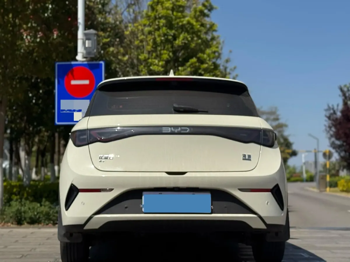 2025 BYD Dolphin BEV 45.12KWH,autocango,china used car exporter,china ev exporter,chinese used car exporter,chinese used ev exporter