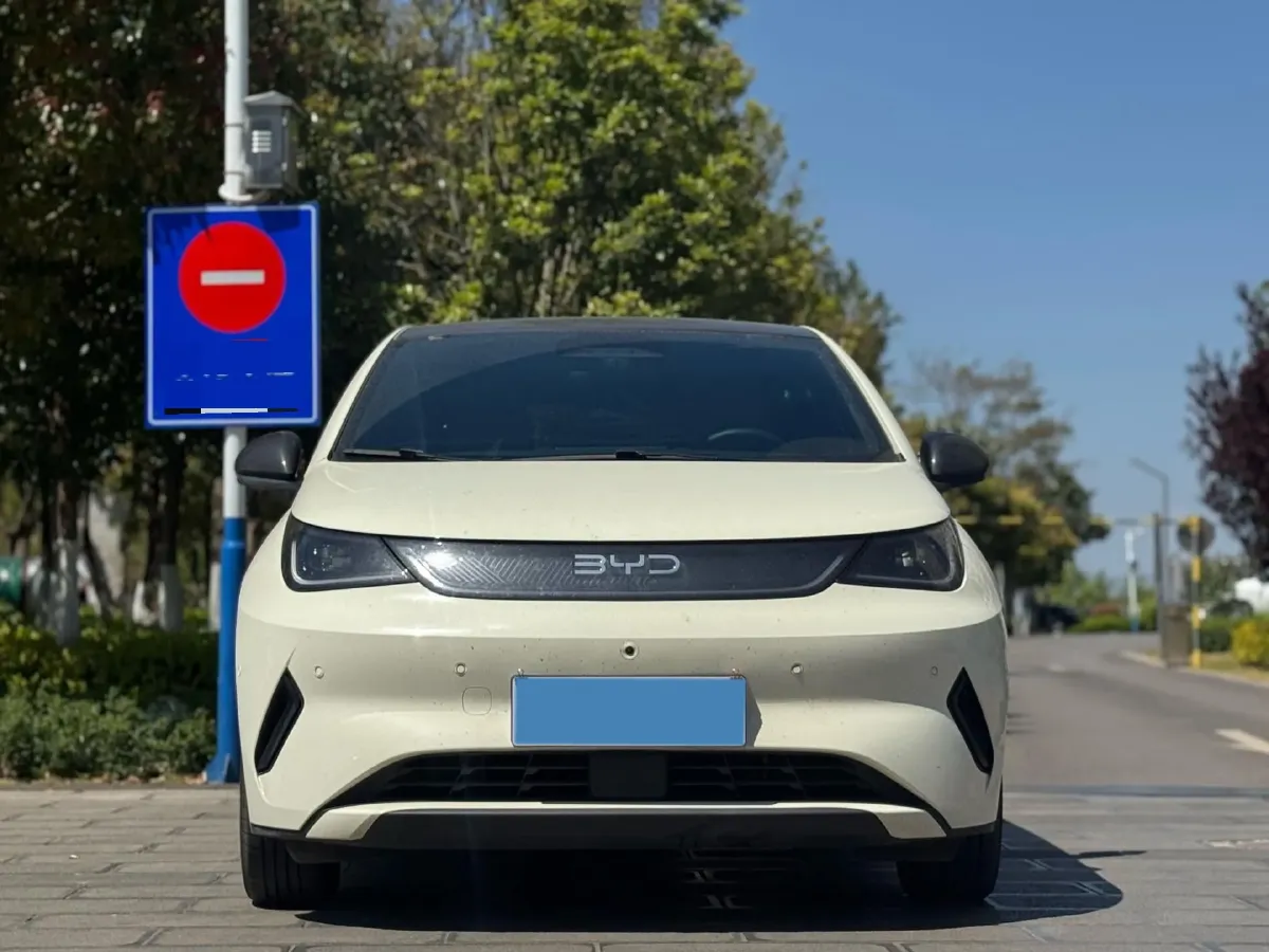 2025 BYD Dolphin BEV 45.12KWH,autocango,china used car exporter,china ev exporter,chinese used car exporter,chinese used ev exporter