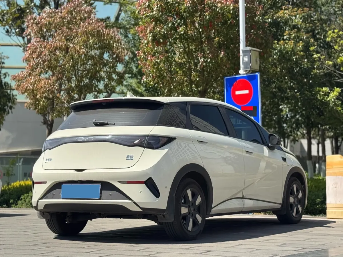 2025 BYD Dolphin BEV 45.12KWH,autocango,china used car exporter,china ev exporter,chinese used car exporter,chinese used ev exporter