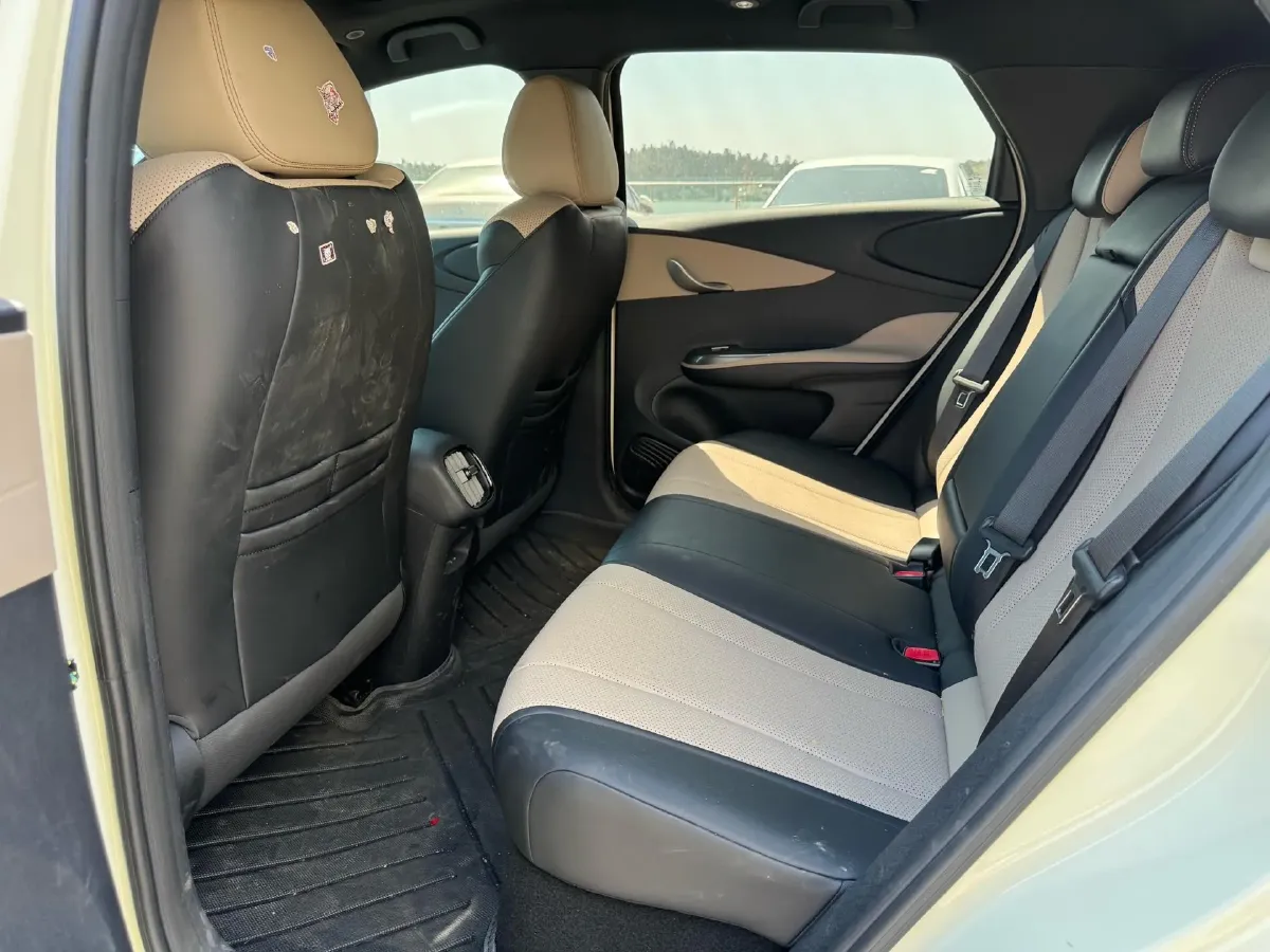 2025 BYD Dolphin BEV 45.12KWH,autocango,china used car exporter,china ev exporter,chinese used car exporter,chinese used ev exporter