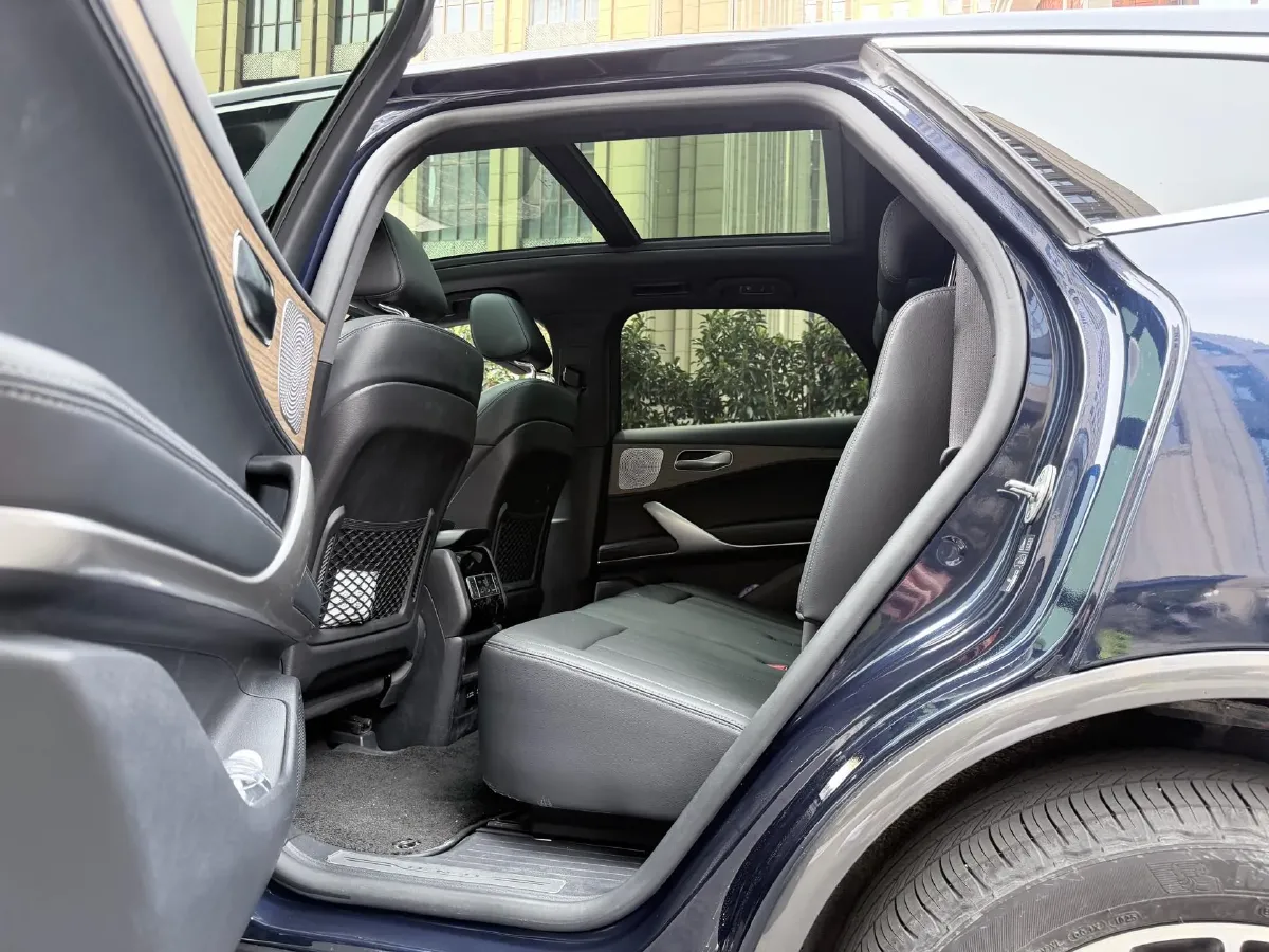 2020 Denza X 2.0T 192HP L4 6DCT PHEV 24KWH,autocango,china used car exporter,china ev exporter,chinese used car exporter,chinese used ev exporter