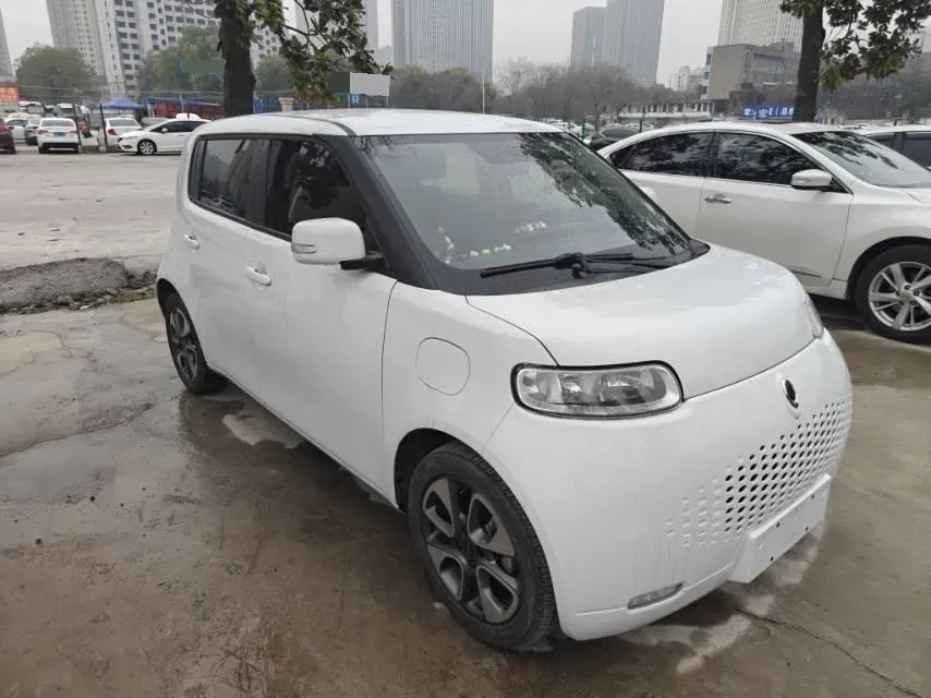2020 Ora WhiteCat BEV 29.4KWH,autocango,china used car exporter,china ev exporter,chinese used car exporter,chinese used ev exporter
