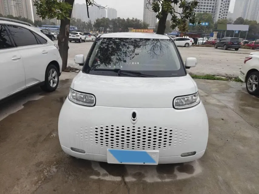2020 Ora WhiteCat BEV 29.4KWH,autocango,china used car exporter,china ev exporter,chinese used car exporter,chinese used ev exporter