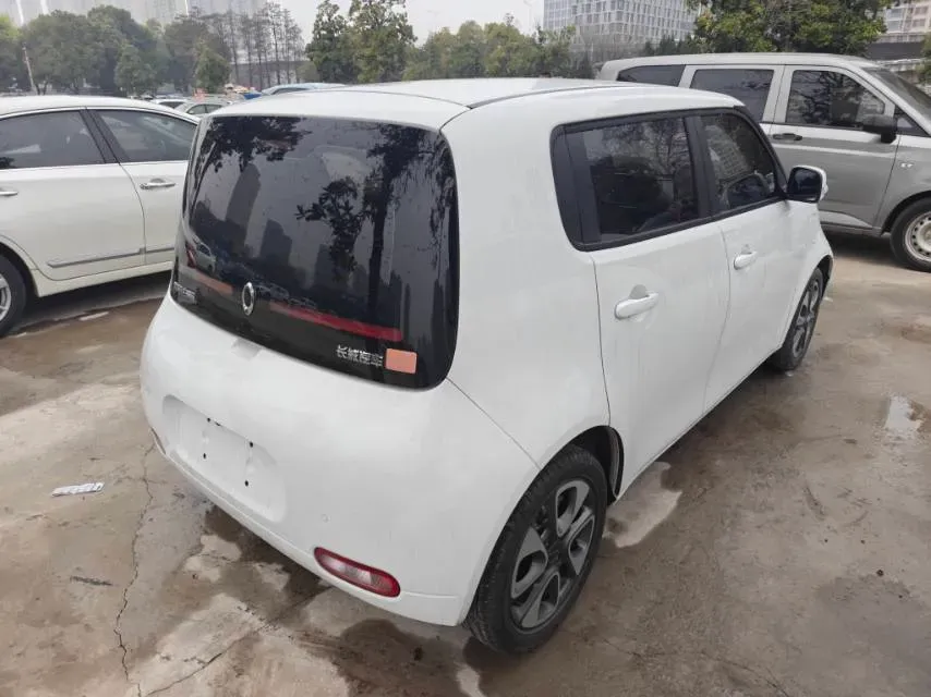 2020 Ora WhiteCat BEV 29.4KWH,autocango,china used car exporter,china ev exporter,chinese used car exporter,chinese used ev exporter