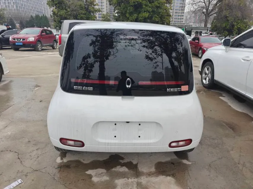 2020 Ora WhiteCat BEV 29.4KWH,autocango,china used car exporter,china ev exporter,chinese used car exporter,chinese used ev exporter