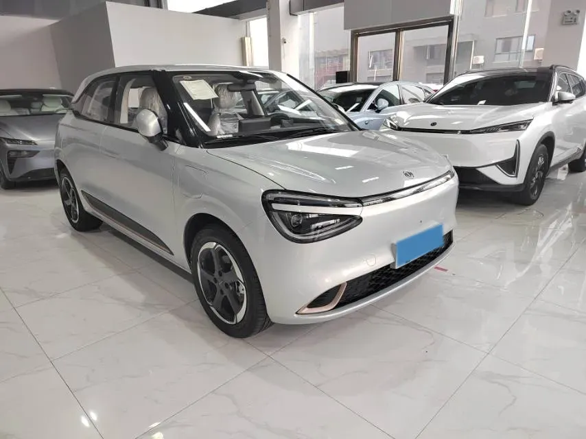 2024 DongFeng Nammi 01 BEV 42.3KWH,autocango,china used car exporter,china ev exporter,chinese used car exporter,chinese used ev exporter
