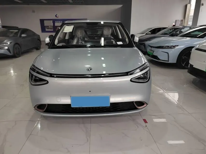 2024 DongFeng Nammi 01 BEV 42.3KWH,autocango,china used car exporter,china ev exporter,chinese used car exporter,chinese used ev exporter