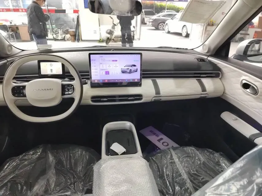 2024 DongFeng Nammi 01 BEV 42.3KWH,autocango,china used car exporter,china ev exporter,chinese used car exporter,chinese used ev exporter