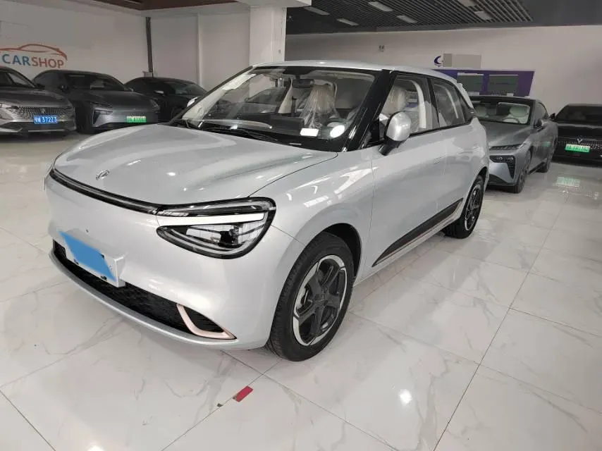 2024 DongFeng Nammi 01 BEV 42.3KWH,autocango,china used car exporter,china ev exporter,chinese used car exporter,chinese used ev exporter
