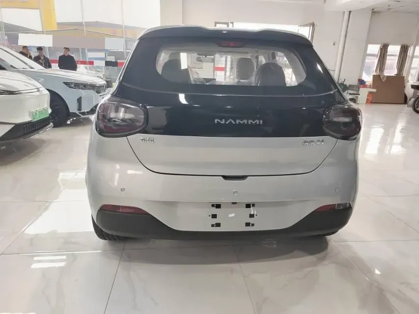 2024 DongFeng Nammi 01 BEV 42.3KWH,autocango,china used car exporter,china ev exporter,chinese used car exporter,chinese used ev exporter