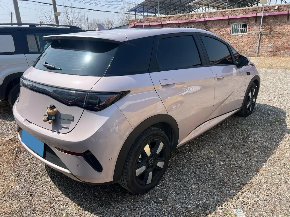 2025 BYD Dolphin BEV 45.12KWH,autocango,china used car exporter,china ev exporter,chinese used car exporter,chinese used ev exporter