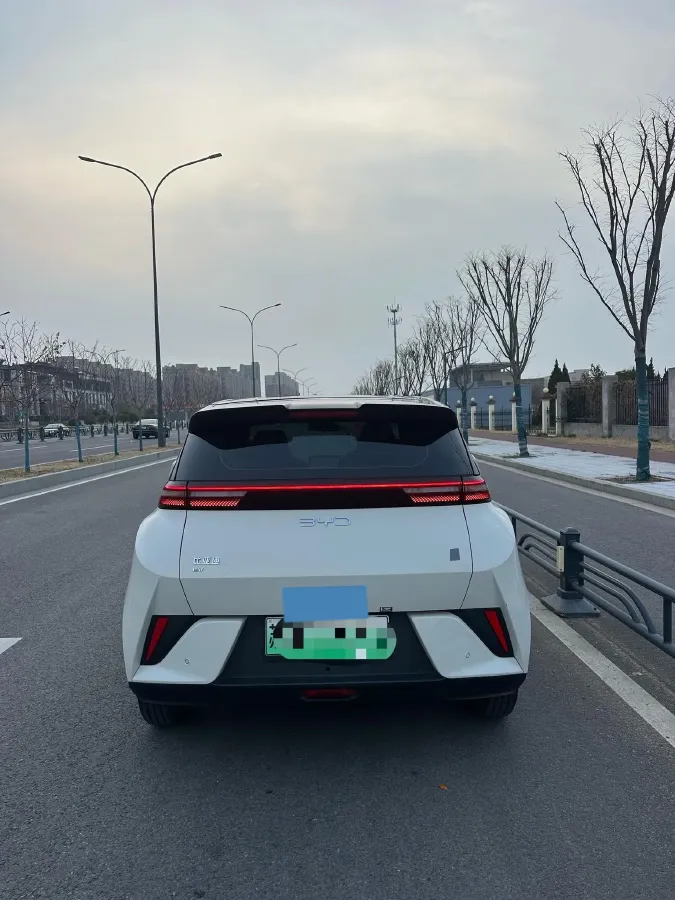 2025 BYD Seagull BEV 30.08KWH,autocango,china used car exporter,china ev exporter,chinese used car exporter,chinese used ev exporter