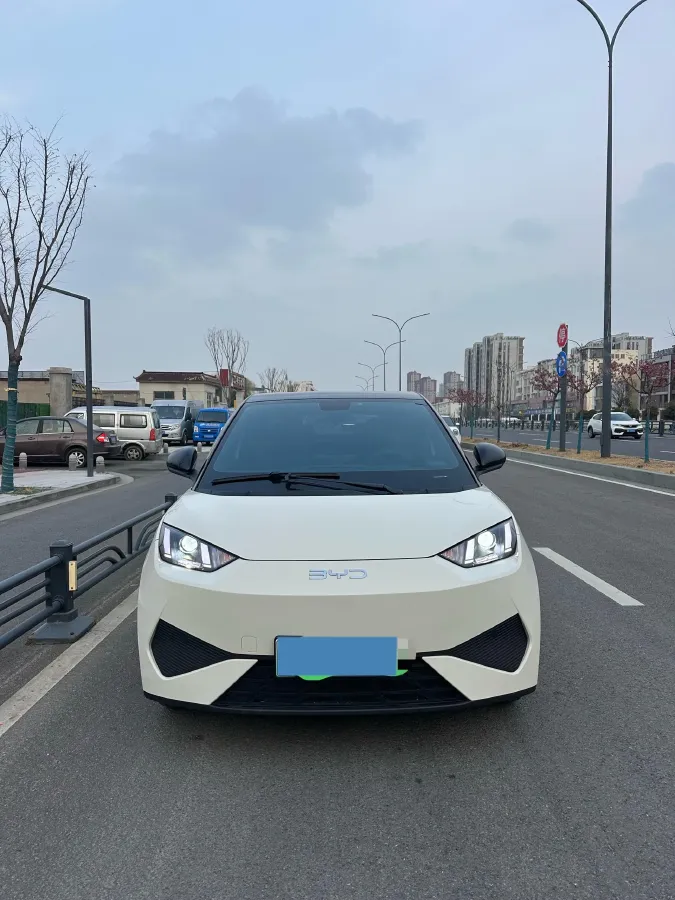 2025 BYD Seagull BEV 30.08KWH,autocango,china used car exporter,china ev exporter,chinese used car exporter,chinese used ev exporter