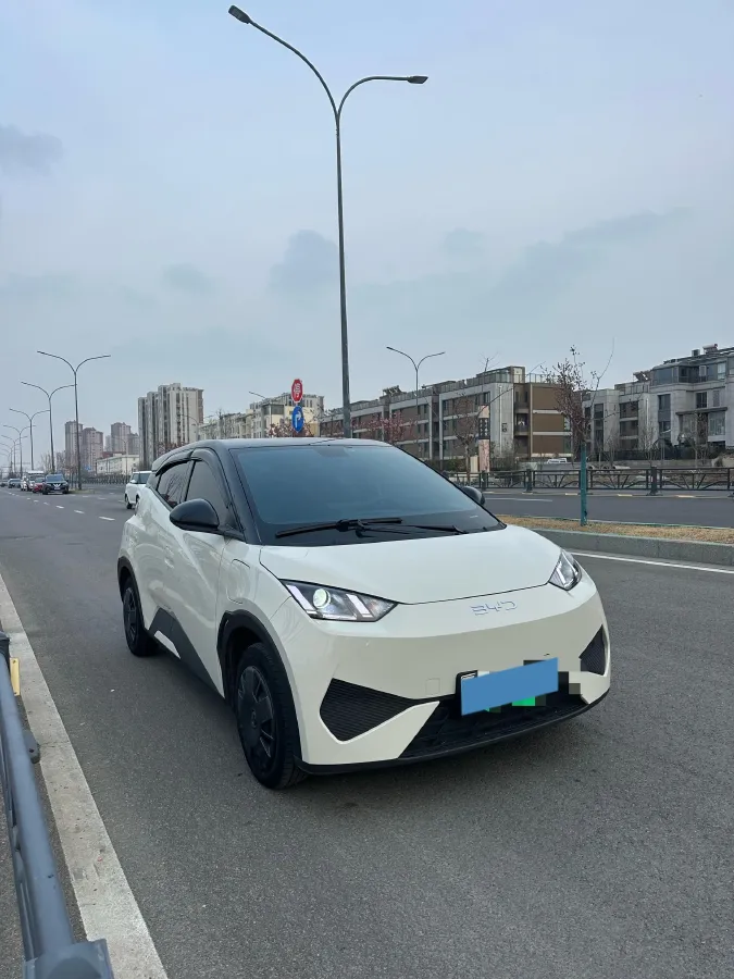 2025 BYD Seagull BEV 30.08KWH,autocango,china used car exporter,china ev exporter,chinese used car exporter,chinese used ev exporter