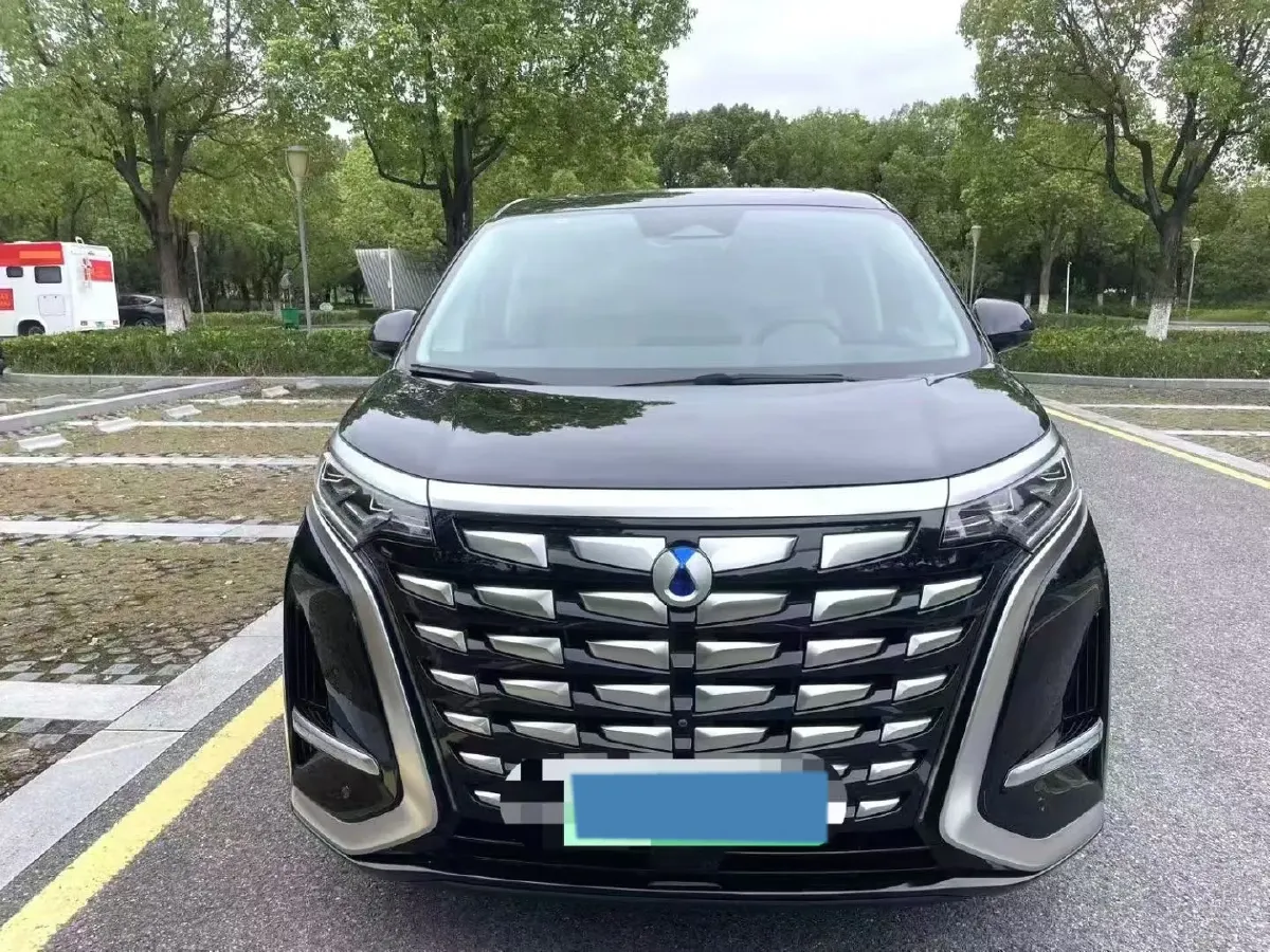 2024 Denza D9 1.5T 139HP L4 E-CVT PHEV 40KWH,autocango,china used car exporter,china ev exporter,chinese used car exporter,chinese used ev exporter