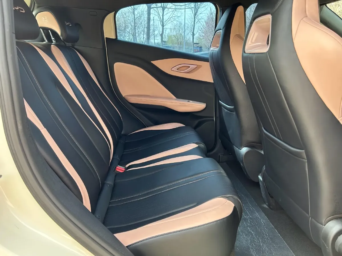 2024 BYD Seagull BEV 30.08KWH,autocango,china used car exporter,china ev exporter,chinese used car exporter,chinese used ev exporter