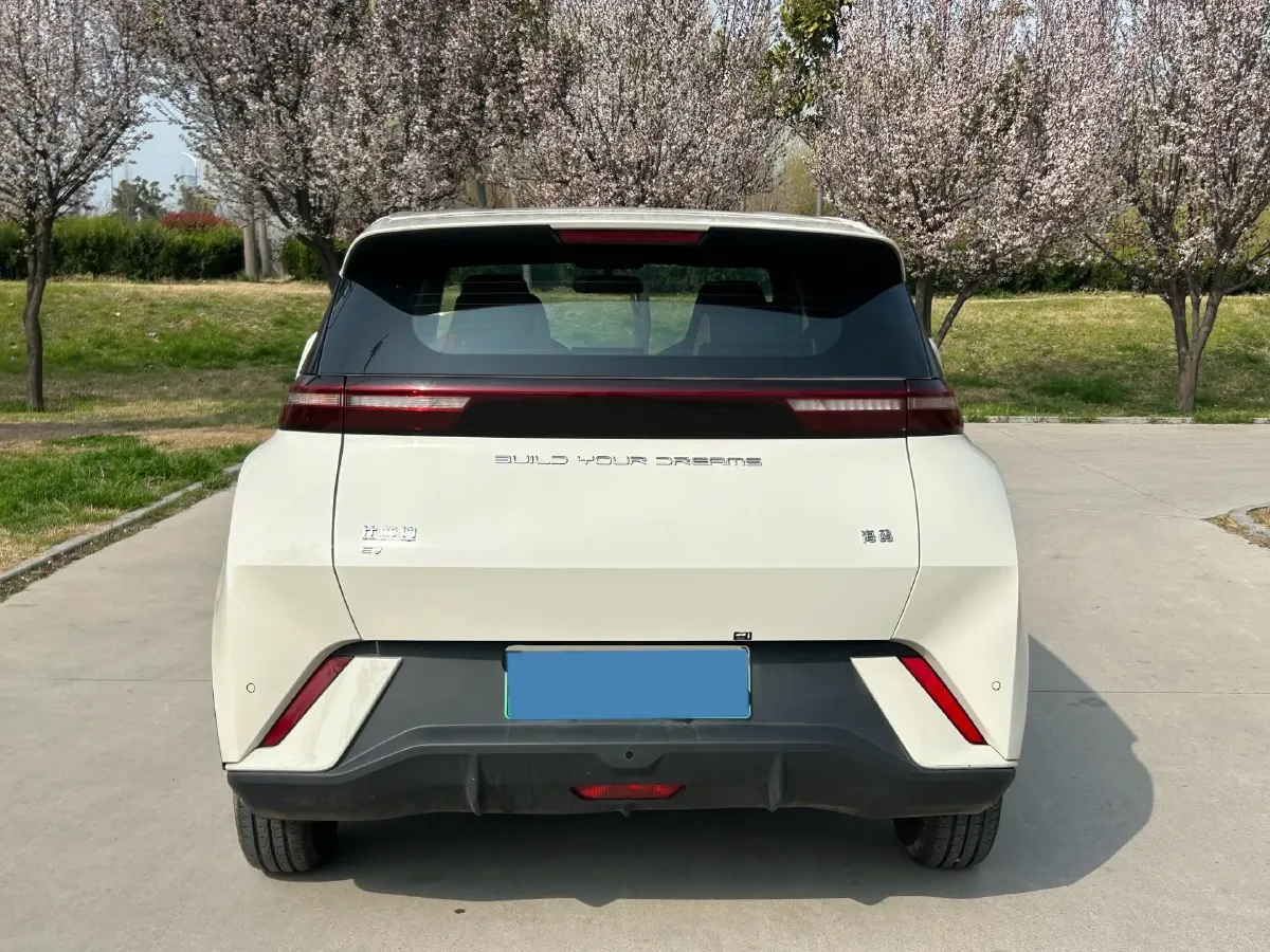 2024 BYD Seagull BEV 30.08KWH,autocango,china used car exporter,china ev exporter,chinese used car exporter,chinese used ev exporter