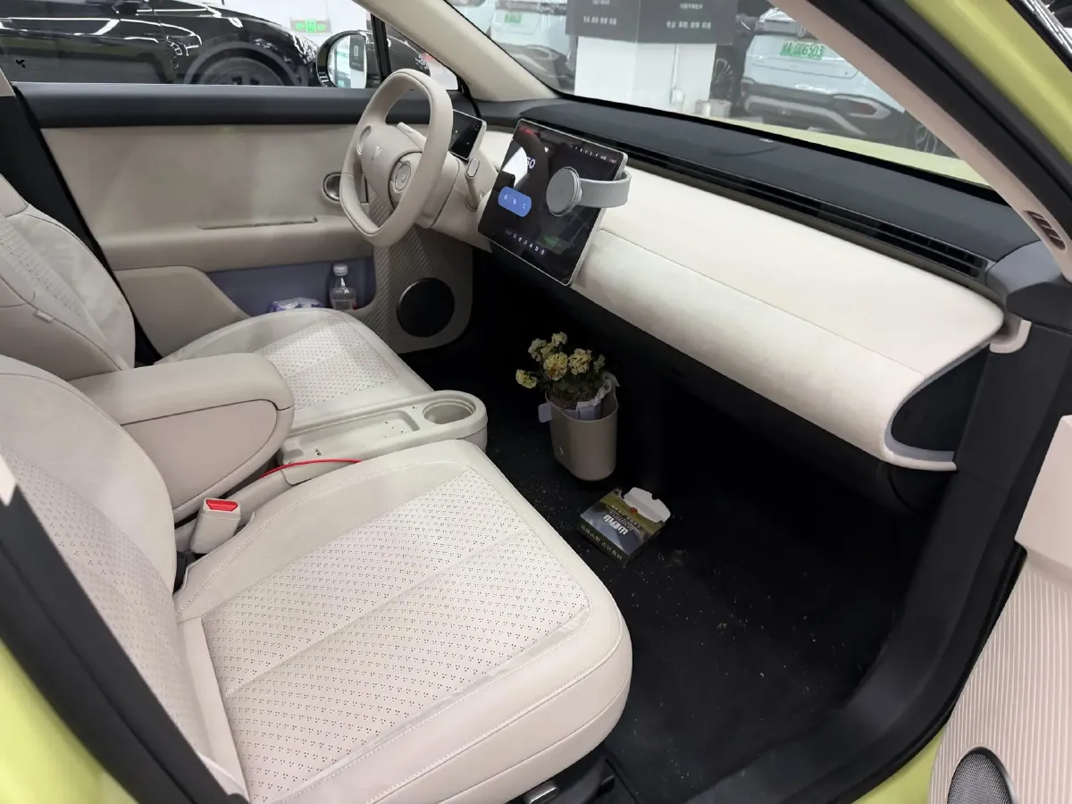 2025 Firefly Firefly BEV,autocango,china used car exporter,china ev exporter,chinese used car exporter,chinese used ev exporter