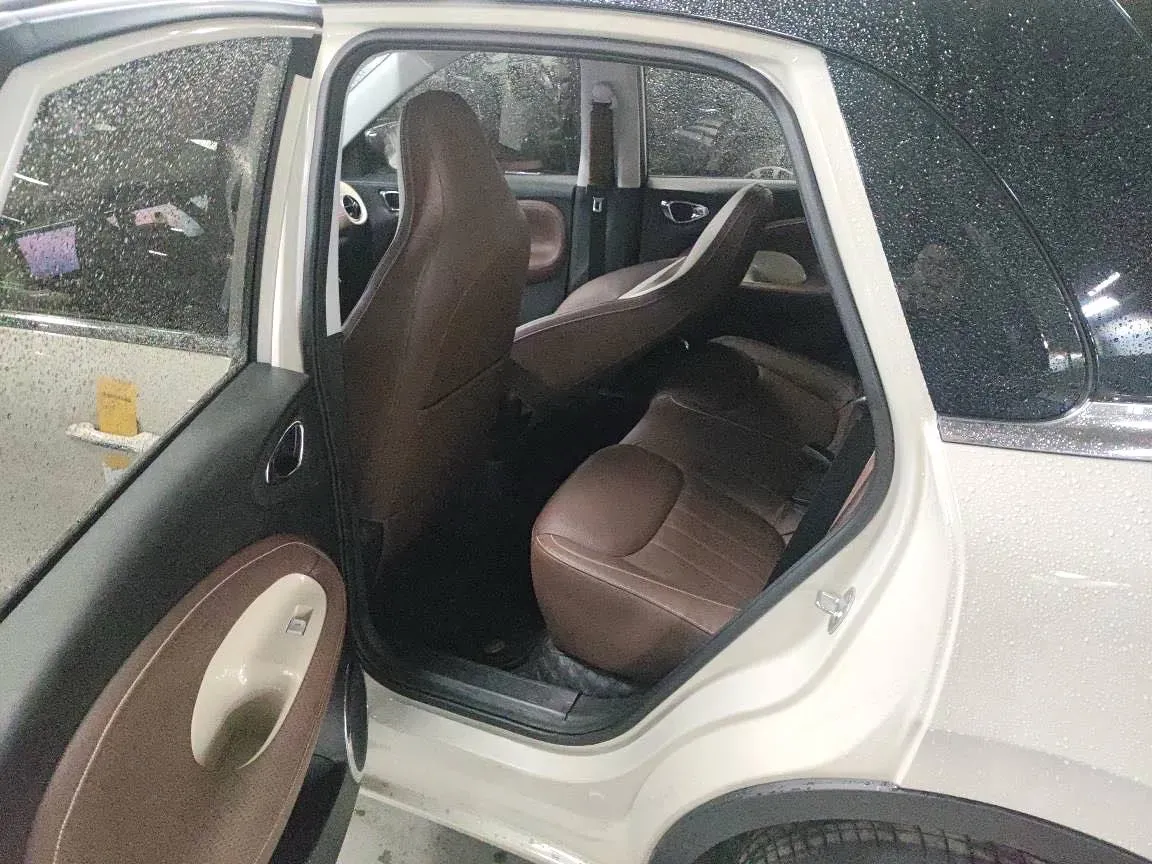 2023 WuLing BinGuo BEV 37.9KWH,autocango,china used car exporter,china ev exporter,chinese used car exporter,chinese used ev exporter