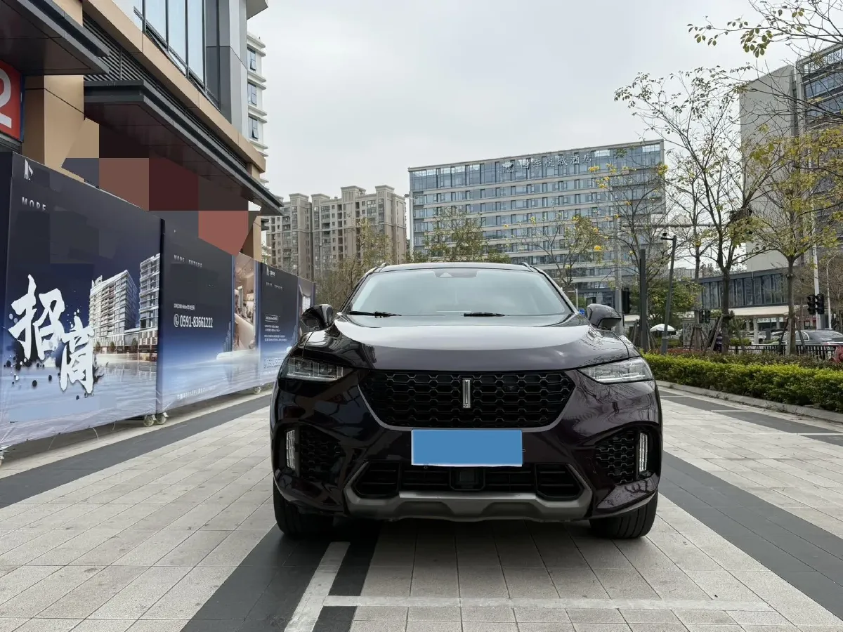 2017 WEY VV7 2.0T 234HP L4 7DCT,autocango,china used car exporter,china ev exporter,chinese used car exporter,chinese used ev exporter