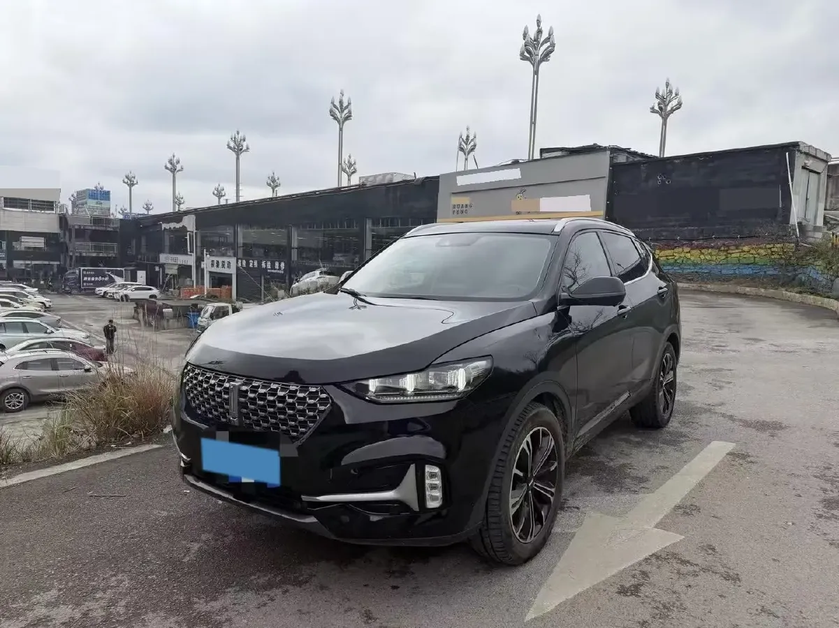 2021 WEY VV6 2.0T 227HP L4 7DCT,autocango,china used car exporter,china ev exporter,chinese used car exporter,chinese used ev exporter