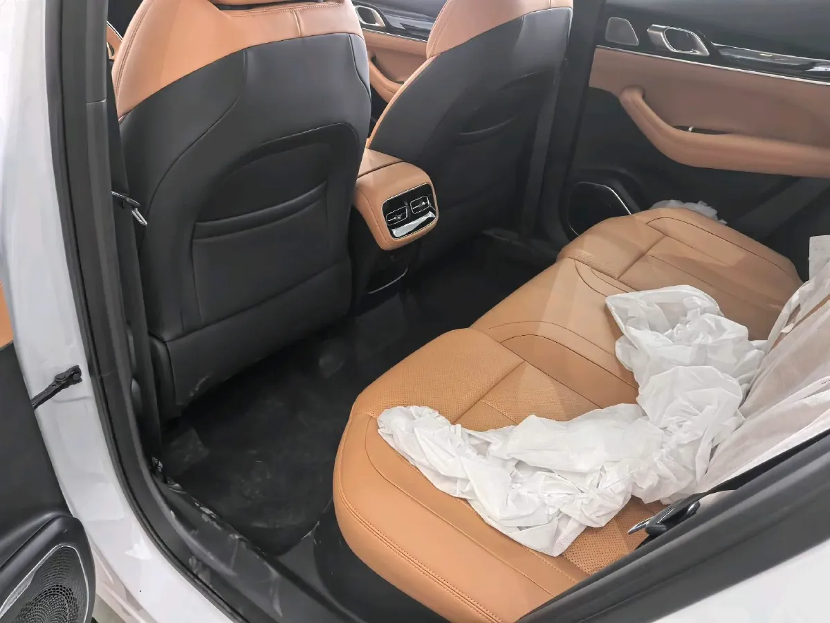 2025 Geely StarRay 1.5T 181HP L4 7DCT,autocango,china used car exporter,china ev exporter,chinese used car exporter,chinese used ev exporter