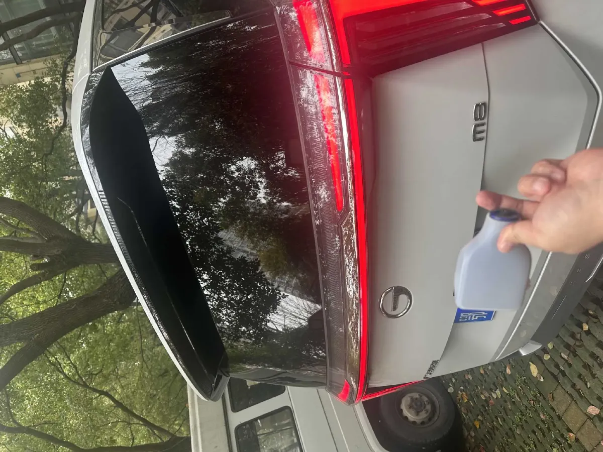 2024 GAC Trumpchi M8 2.0T 252HP L4 8AT,autocango,china used car exporter,china ev exporter,chinese used car exporter,chinese used ev exporter