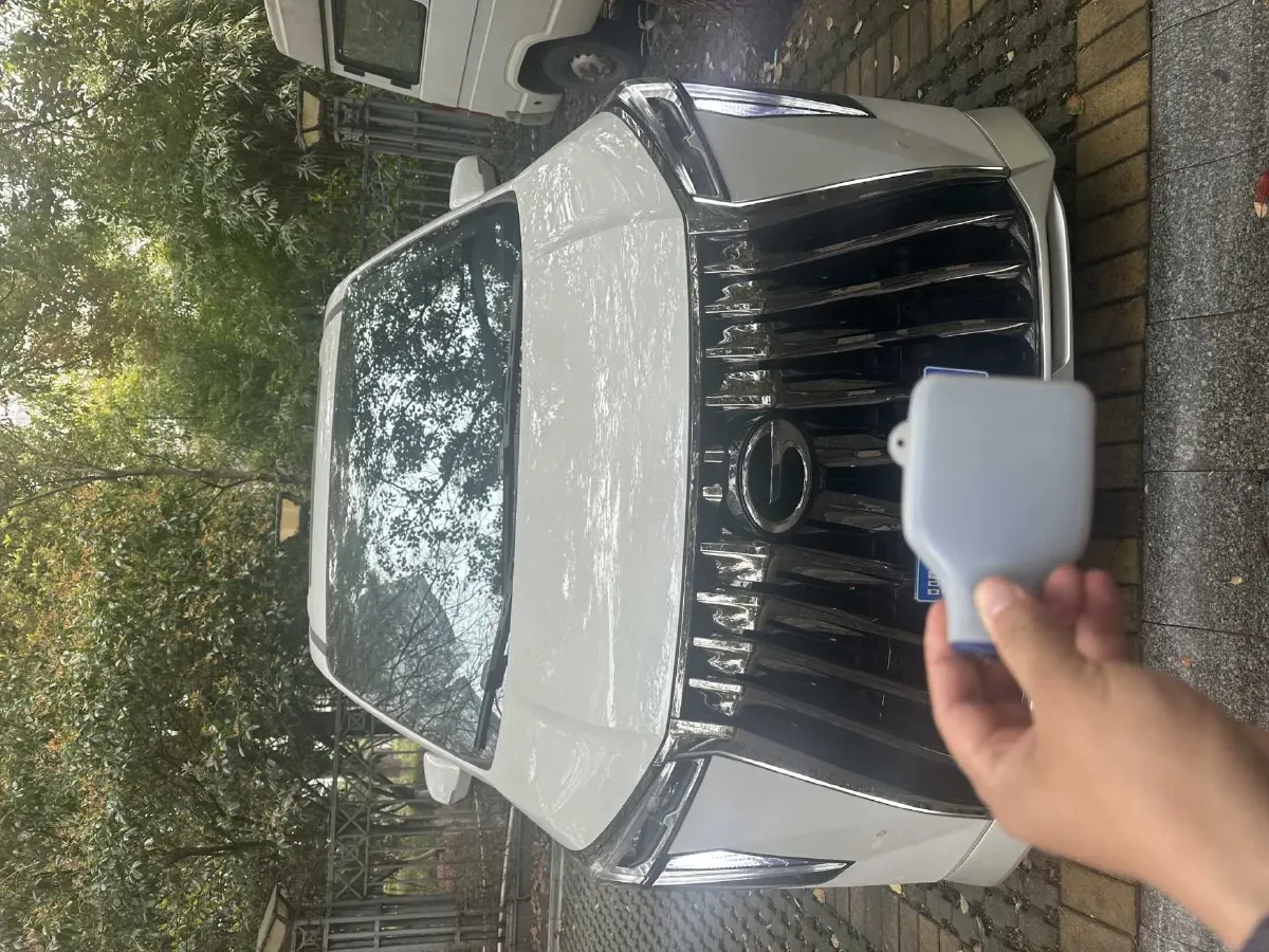 2024 GAC Trumpchi M8 2.0T 252HP L4 8AT,autocango,china used car exporter,china ev exporter,chinese used car exporter,chinese used ev exporter