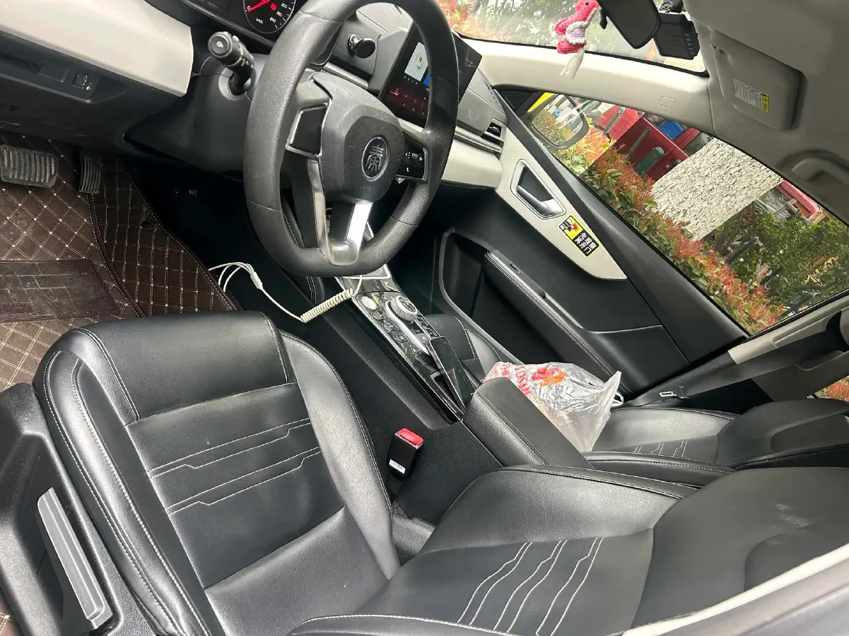 2019 BYD Qin Pro BEV 56.4KWH,autocango,china used car exporter,china ev exporter,chinese used car exporter,chinese used ev exporter