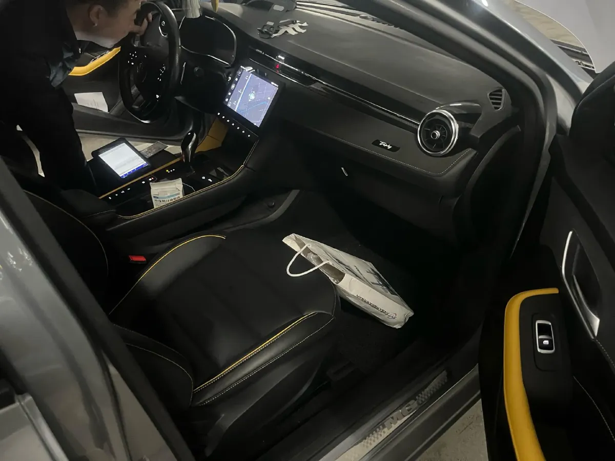 2020 Roewe RX5 1.5T 169HP L4 AMT PHEV 11.1KWH,autocango,china used car exporter,china ev exporter,chinese used car exporter,chinese used ev exporter