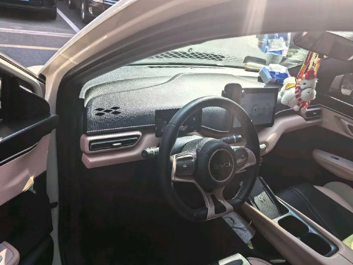 2024 BYD Seagull BEV 30.08KWH,autocango,china used car exporter,china ev exporter,chinese used car exporter,chinese used ev exporter