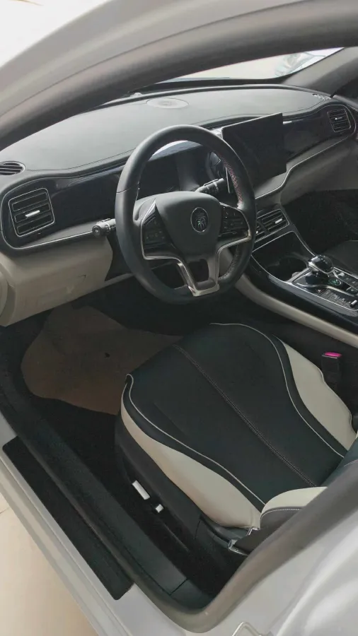 2021 DongFeng FuKang e Elysee BEV 30.7KWH,autocango,china used car exporter,china ev exporter,chinese used car exporter,chinese used ev exporter