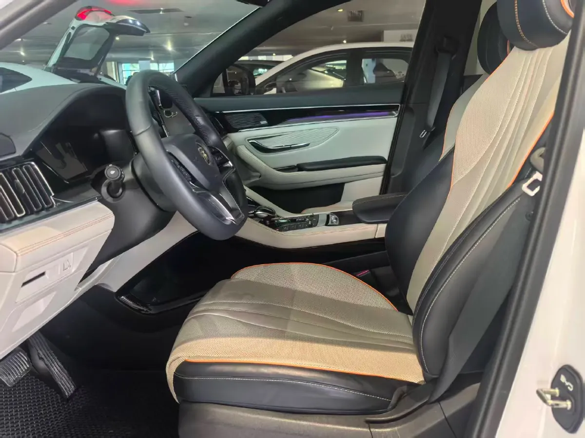 2021 SRM Sea Lion EV BEV 41.86KWH,autocango,china used car exporter,china ev exporter,chinese used car exporter,chinese used ev exporter