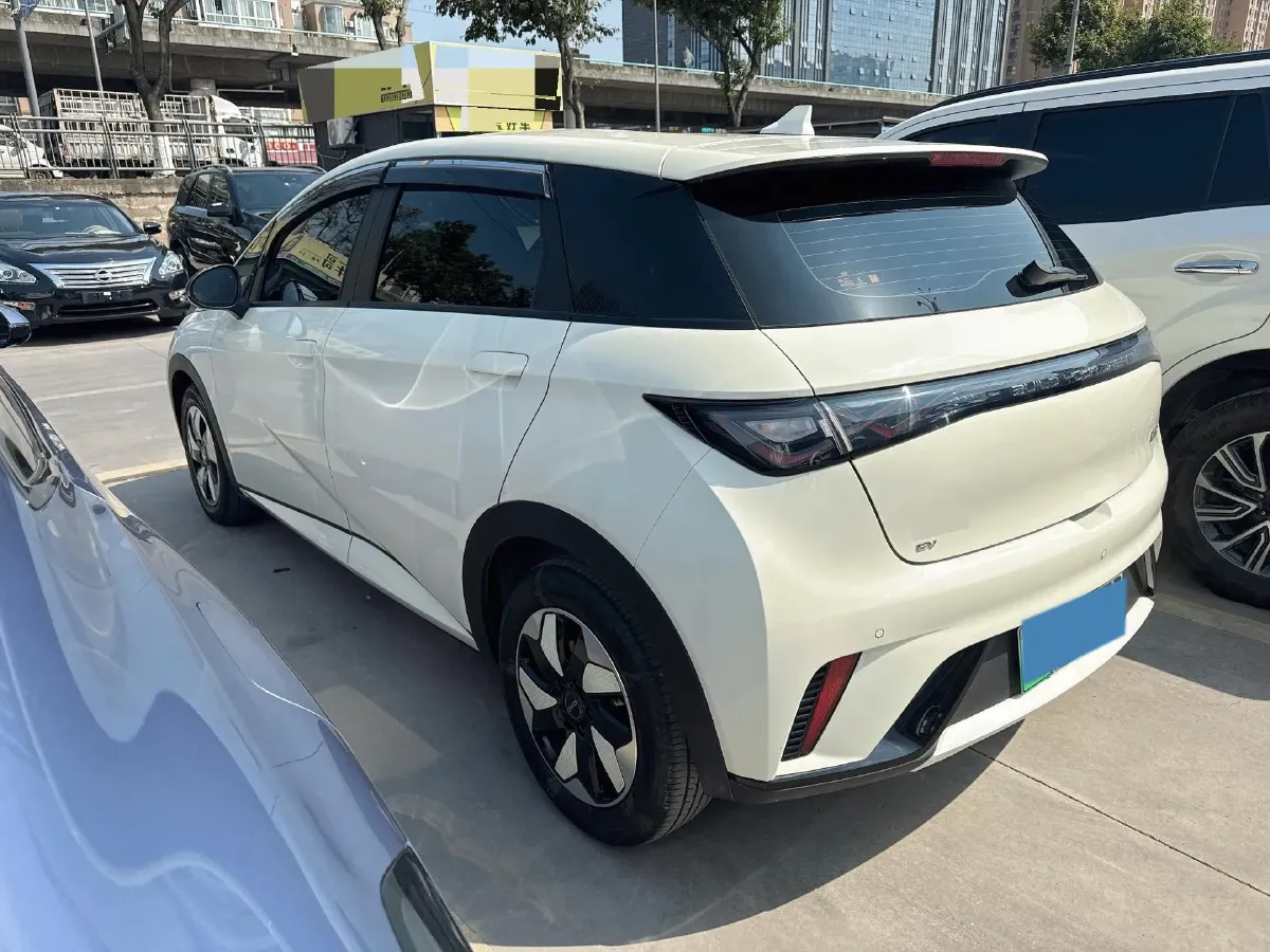 2024 BYD Dolphin BEV 44.928KWH,autocango,china used car exporter,china ev exporter,chinese used car exporter,chinese used ev exporter