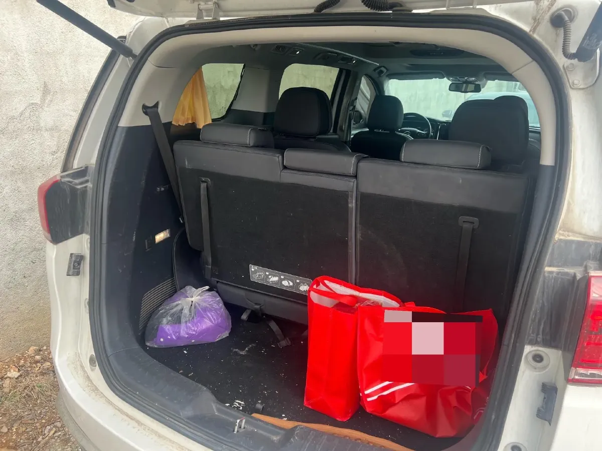 2023 GAC Trumpchi M8 2.0T 252HP L4 8AT,autocango,china used car exporter,china ev exporter,chinese used car exporter,chinese used ev exporter