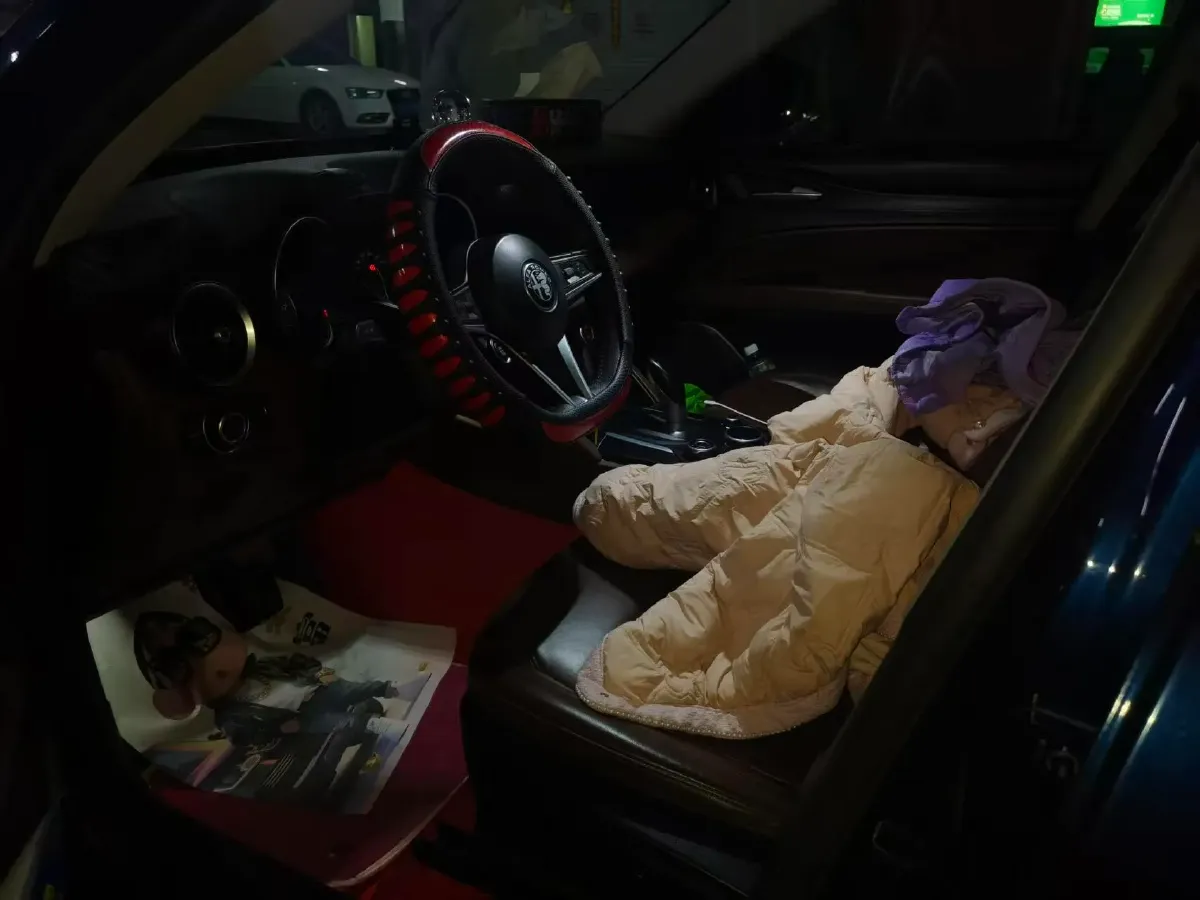 2017 Ford Mustang 2.3T 314HP L4 6AT,autocango,china used car exporter,china ev exporter,chinese used car exporter,chinese used ev exporter