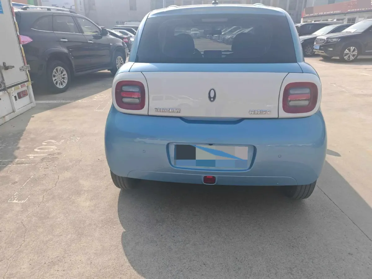 2021 Ora BlackCat BEV 30.3KWH,autocango,china used car exporter,china ev exporter,chinese used car exporter,chinese used ev exporter