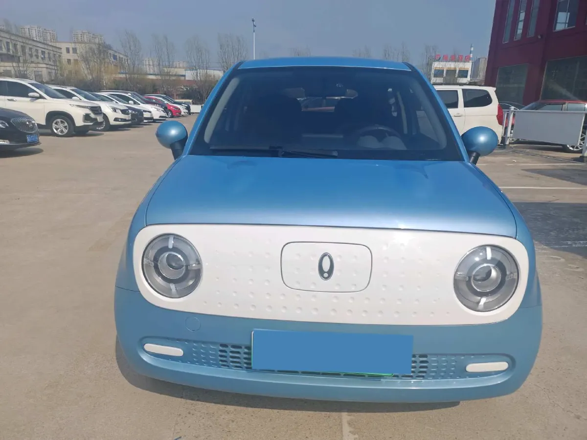 2021 Ora BlackCat BEV 30.3KWH,autocango,china used car exporter,china ev exporter,chinese used car exporter,chinese used ev exporter