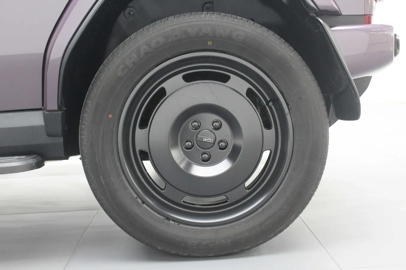 2025 Yufeng Auto Golden Warehouse BEV,autocango,china used car exporter,china ev exporter,chinese used car exporter,chinese used ev exporter