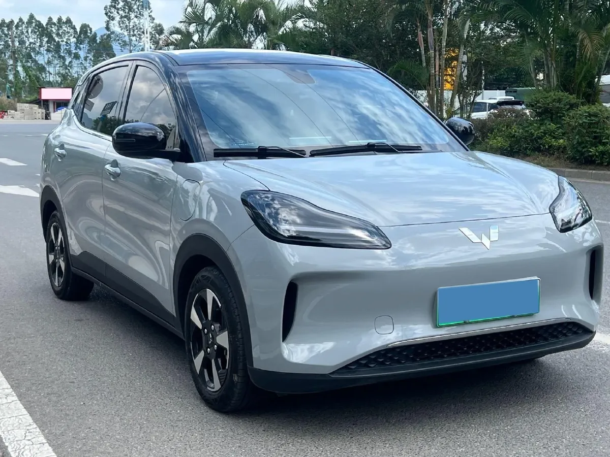 2024 WuLing BinGuoPLUS BEV 31.9KWH,autocango,china used car exporter,china ev exporter,chinese used car exporter,chinese used ev exporter