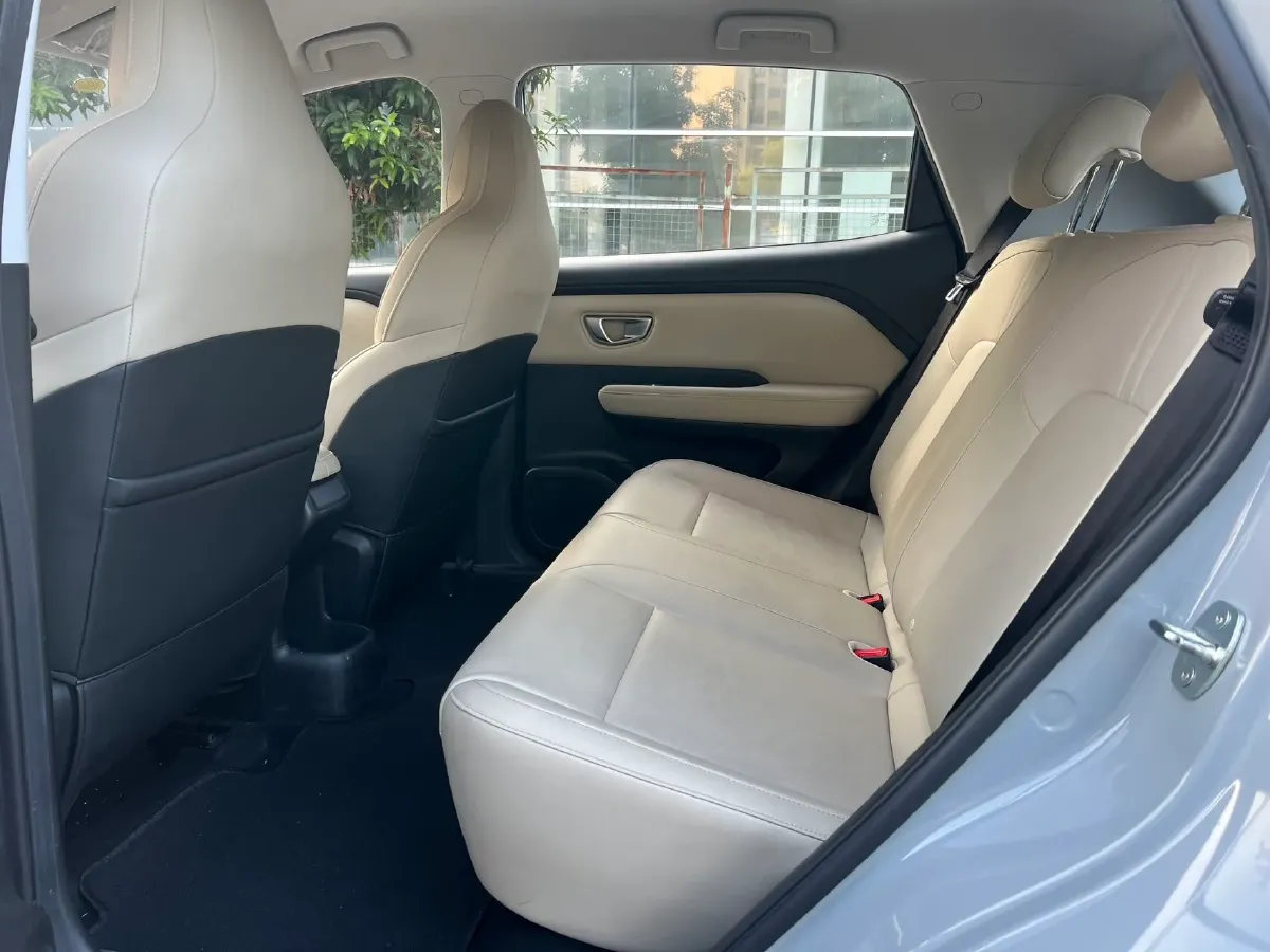 2024 WuLing BinGuoPLUS BEV 31.9KWH,autocango,china used car exporter,china ev exporter,chinese used car exporter,chinese used ev exporter