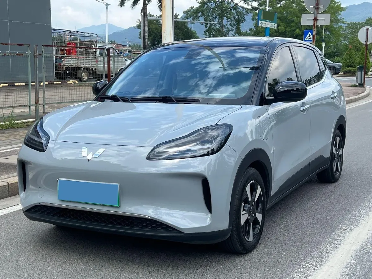 2024 WuLing BinGuoPLUS BEV 31.9KWH,autocango,china used car exporter,china ev exporter,chinese used car exporter,chinese used ev exporter