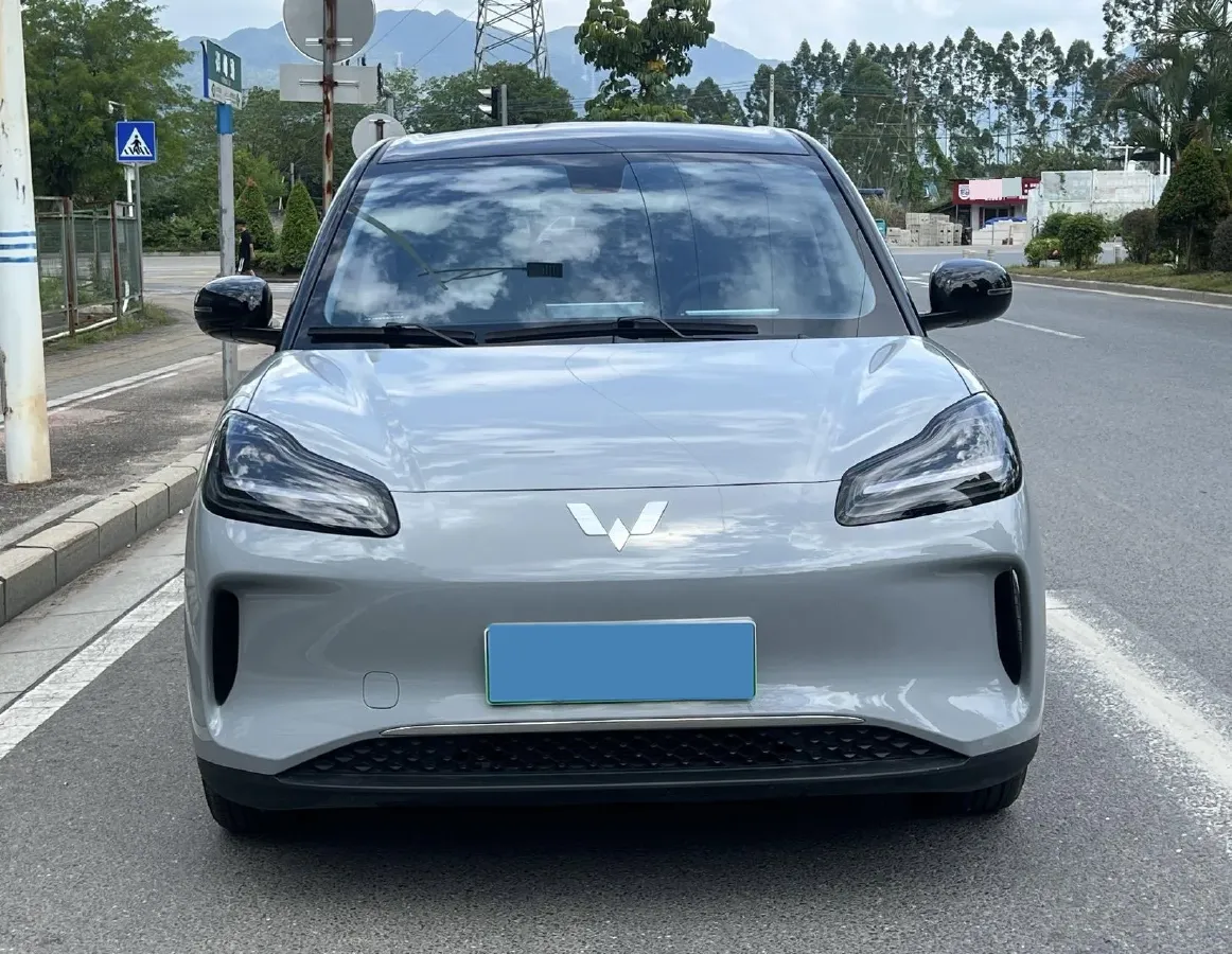 2024 WuLing BinGuoPLUS BEV 31.9KWH,autocango,china used car exporter,china ev exporter,chinese used car exporter,chinese used ev exporter