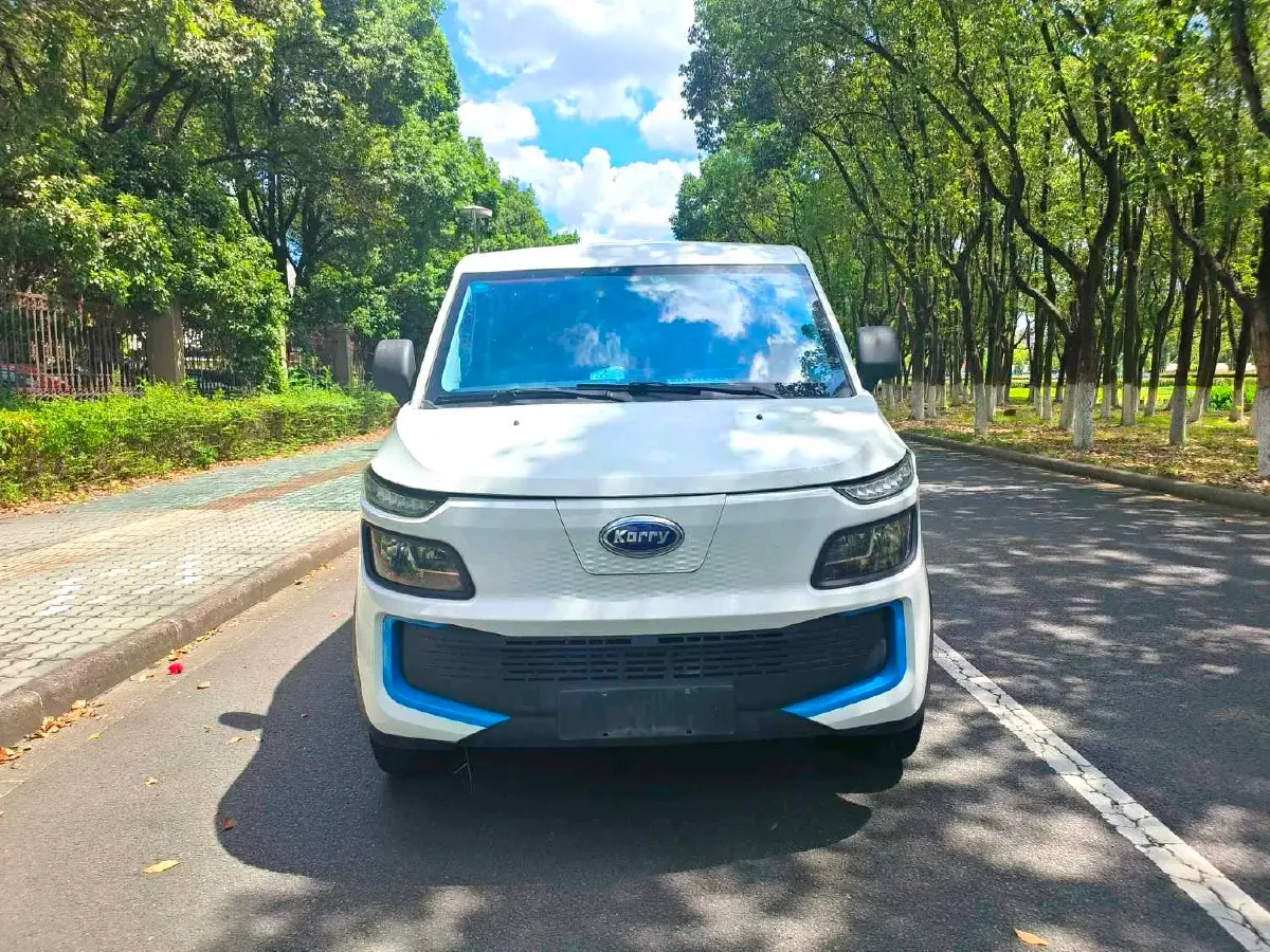 2019 Karry Dolphin EV BEV 44.5KWH,autocango,china used car exporter,china ev exporter,chinese used car exporter,chinese used ev exporter