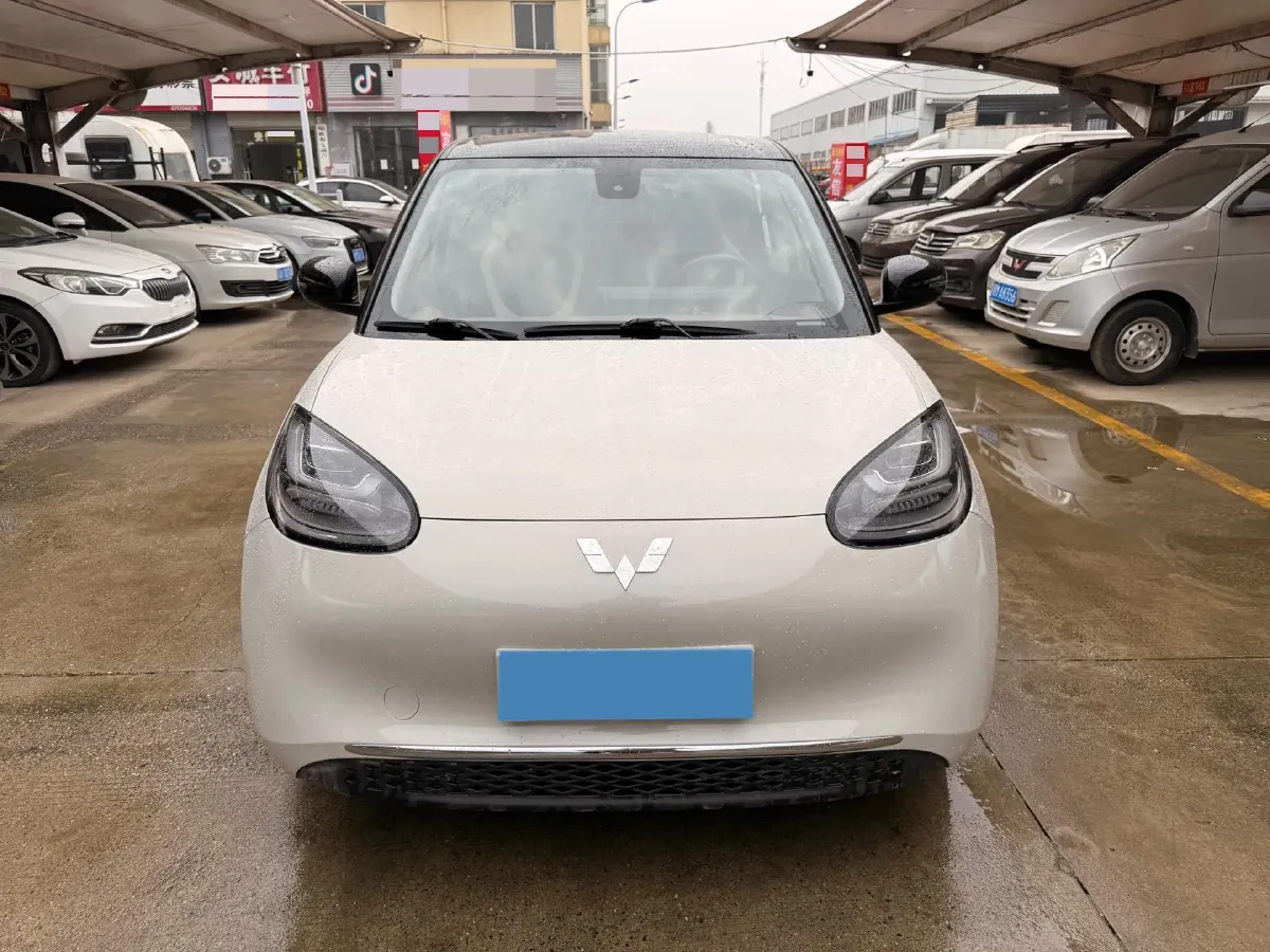 2024 WuLing BinGuo BEV 31.9KWH,autocango,china used car exporter,china ev exporter,chinese used car exporter,chinese used ev exporter