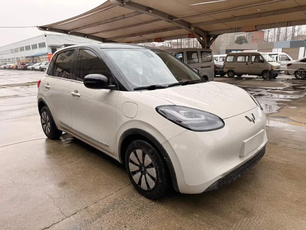 2024 WuLing BinGuo BEV 31.9KWH,autocango,china used car exporter,china ev exporter,chinese used car exporter,chinese used ev exporter