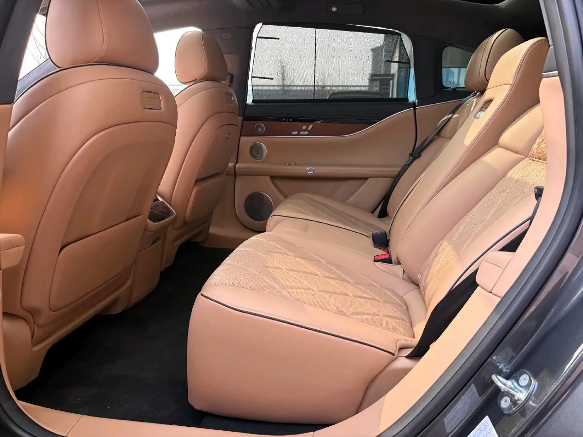 2024 HIMA Stelato S9 BEV 100KWH,autocango,china used car exporter,china ev exporter,chinese used car exporter,chinese used ev exporter